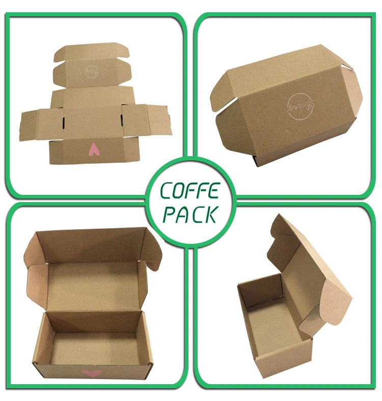 New-Styled Kraft Carton Subscription Mailer Clothing Shipping Packaging Box with Printing