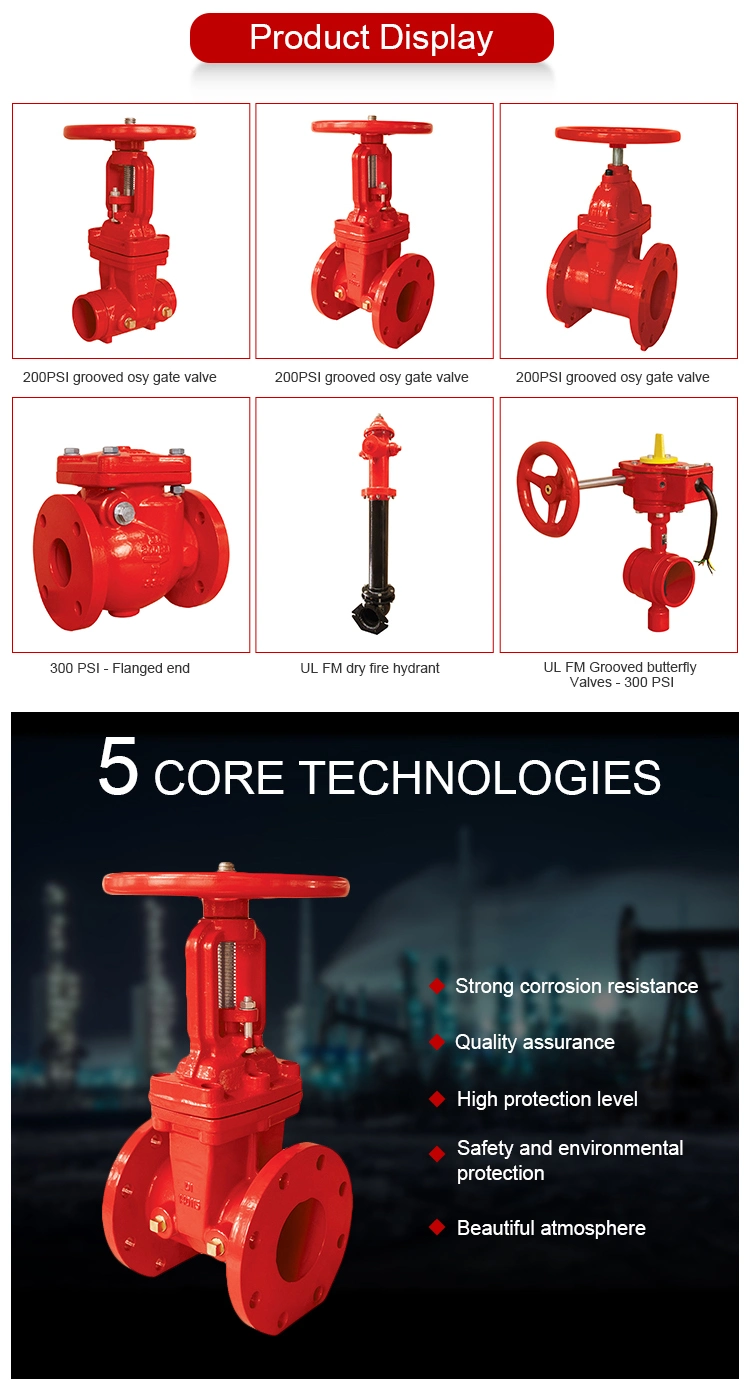 DN150 6 Inch ANSI 150 Vertical Stem CF8m Stainless Steel Handwheel Flange Gate Valve