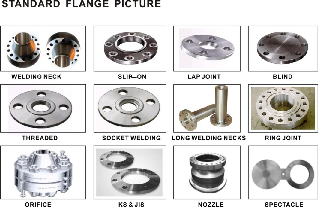 DN100 Stainless Steel Pl Flat Welding Flange RF FF