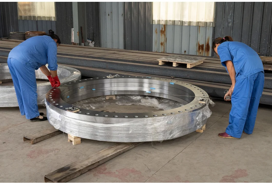 Professional Wholesale JIS Neck Flange Stainless Steel Carbon Steel Flange