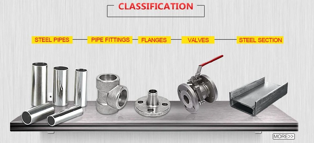 DN100 Stainless Steel Pl Flat Welding Flange RF FF