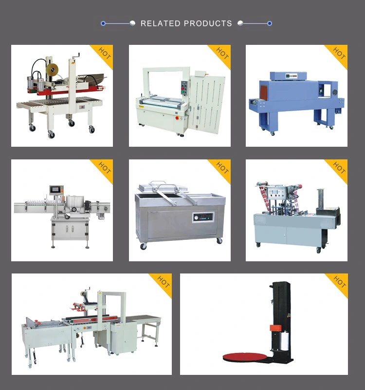 Hero Brand Table Type Sealer Fish Automatic Peanut Fruit and Vegetabel Vacuum Packing Machine Meat