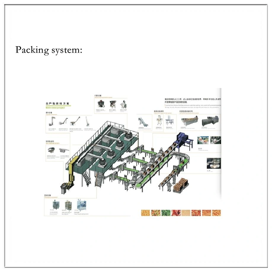 Vertical Automatic Powder Packing Machine for Cocoa Curry Coffee Flour