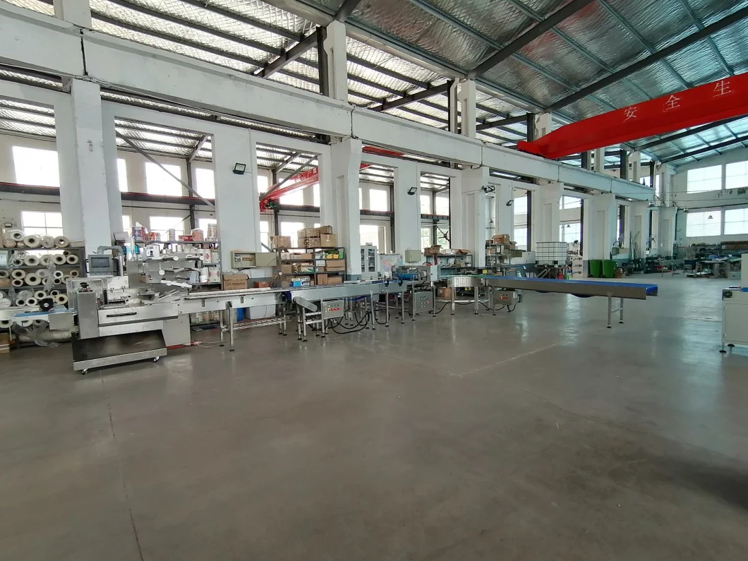 Automated Pouch Horizontal Pillow Packing Packaging Equipment for Wafer/Food/Candies/Chocolate Bars