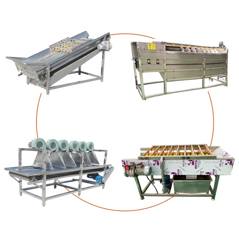 Apple Grading Machine Apple Grading Dystem Cabbage Potato Bubble Washer Washing Production Line