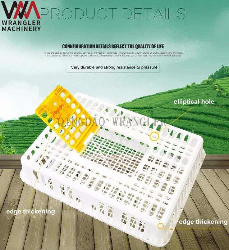 Agricultural Plastic Crates for Chicken Transportation, Live Chicken Transport Crate