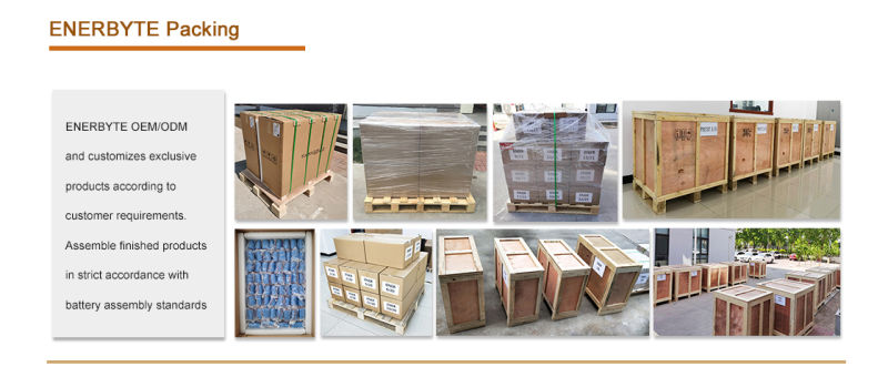 48V 600ah Forklift Lithium Ion Battery/LiFePO4 Battery/E-Truck Battery/Forklift Truck Batery