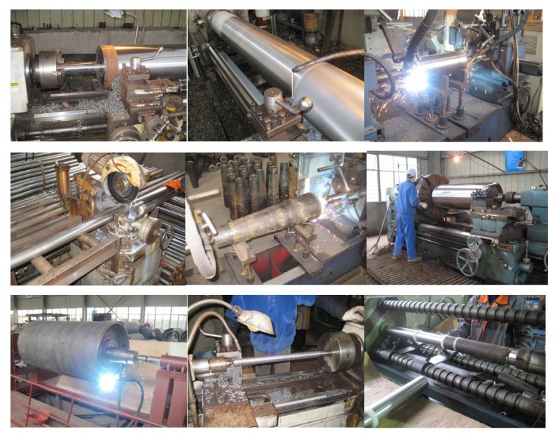 Double Polymer Sprocket Driven Roller for Conveyor System