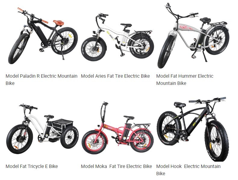 3 Wheel Electric Cargo Tricycle with Removable Lithium Battery