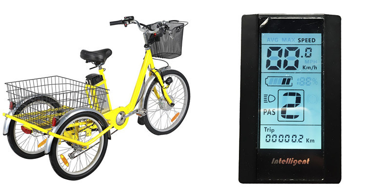 250W Trike Three Wheel Electric Bike Electric Cargo Tricycle