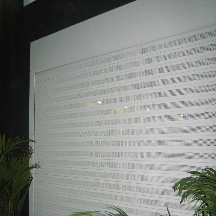 Visible Perforated Aluminum Rolling Shutter Door Micropunch Aluminium Roller Shutter Door