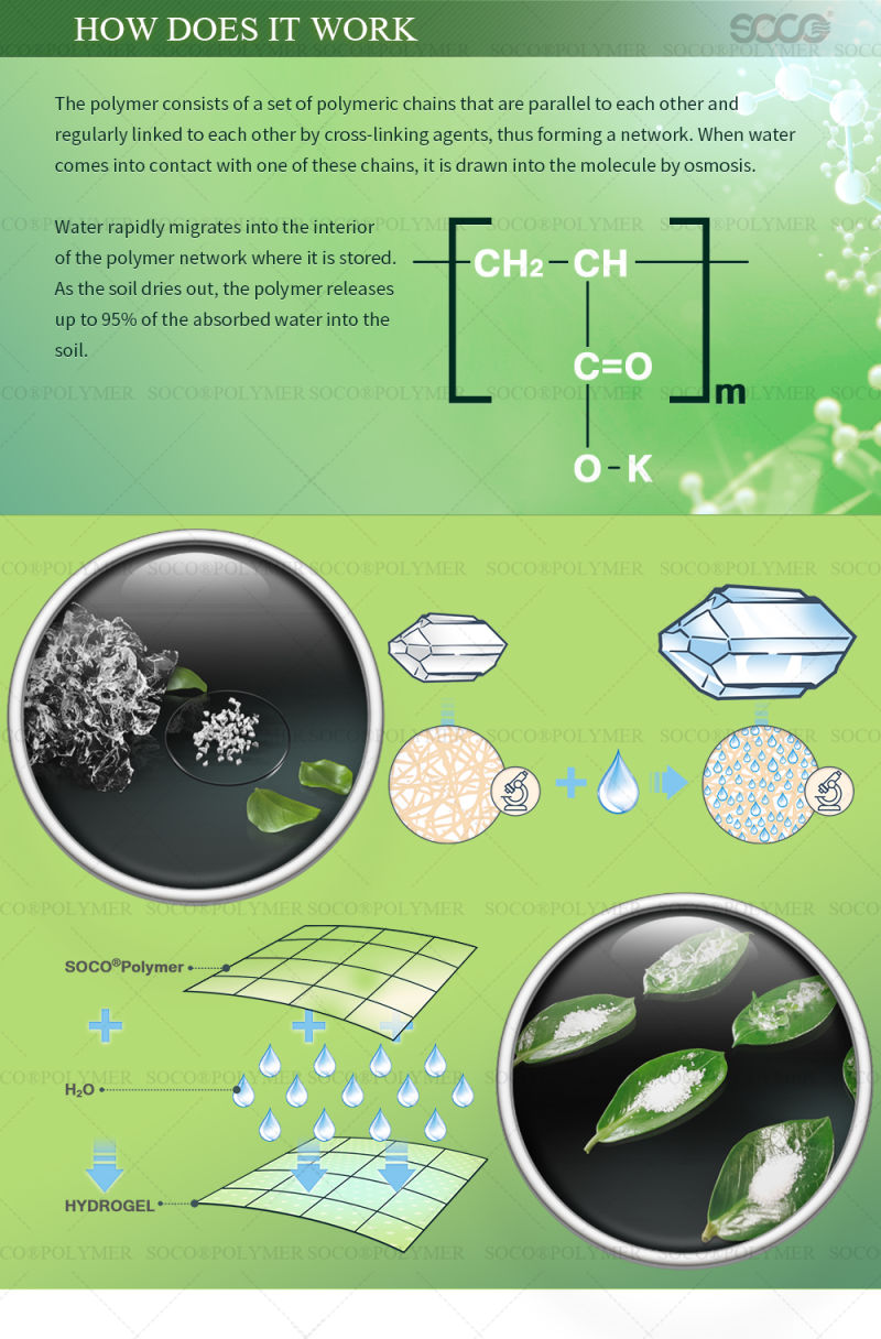 High Quality Water Retaining Agent for Soil Improvement