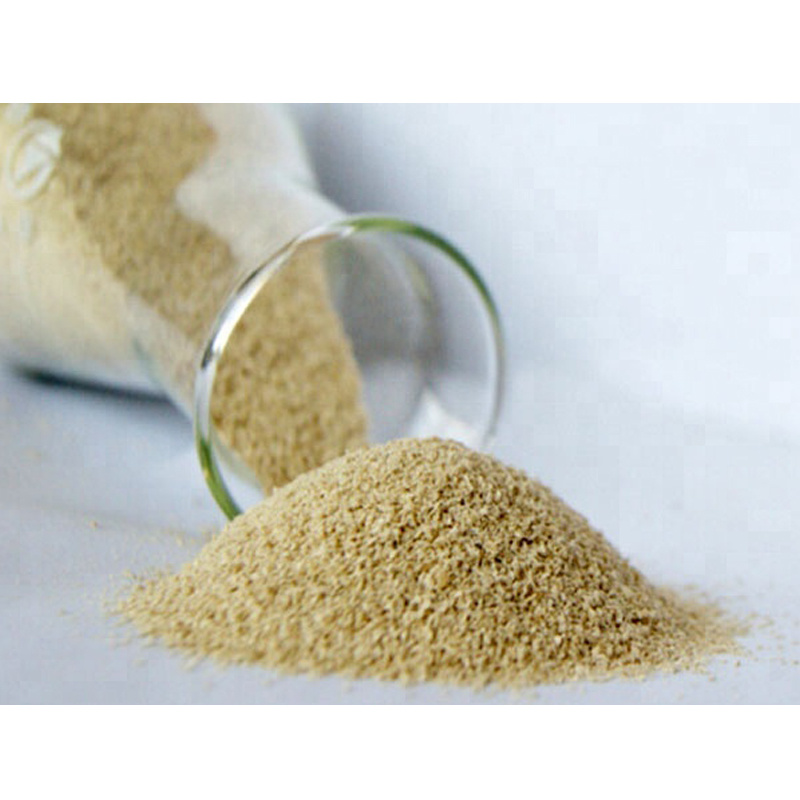 Textile Grade Sodium Alginate 12000cps India Market