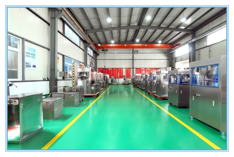 Zp-35D Pharmaceutical Machinery of Pills Assembly Line for Pill Press