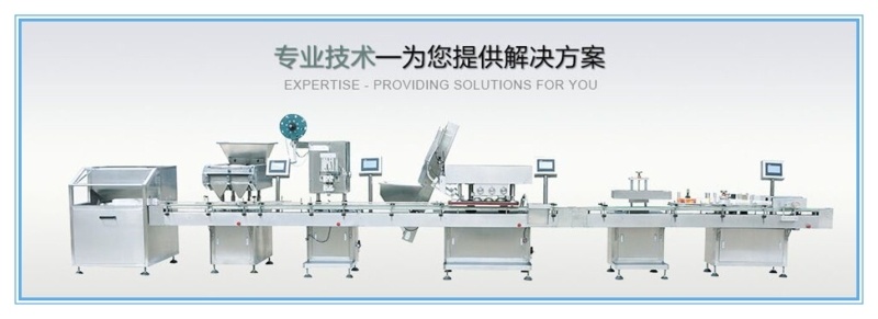 Zp-35D Pharmaceutical Machinery of Pills Assembly Line for Pill Press