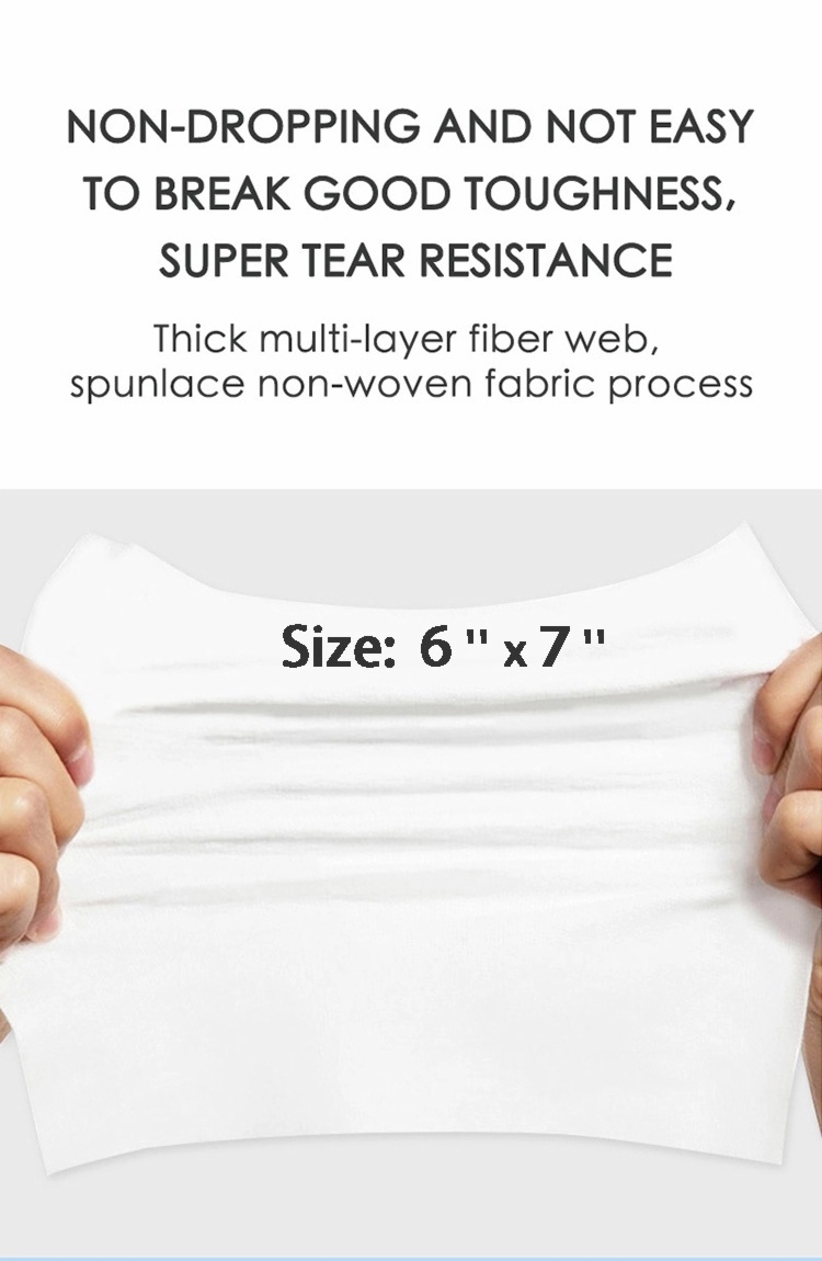 75% Alcohol Hand Antibacterial Wet Wipes Disinfectant 80PCS Pack