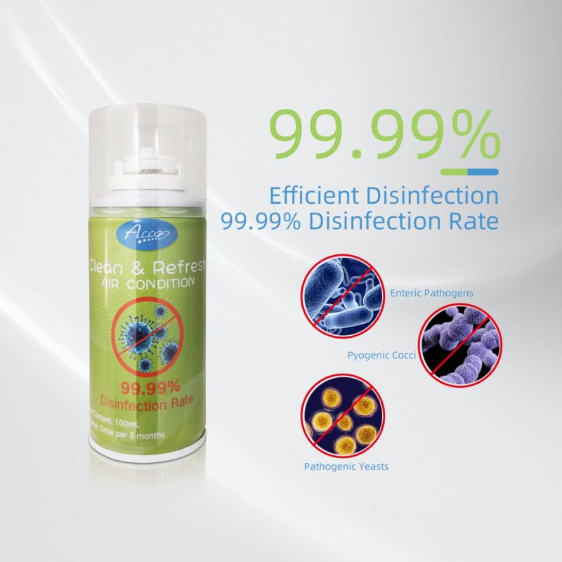 Allgo Household Disinfectant Hand Sanitizer Car Disinfection Spray Aerosol