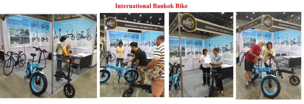 21 Speed High Quality Electric Bike, Steel Electric City Bicycle, 27.5 Inch/29 Inch Electric