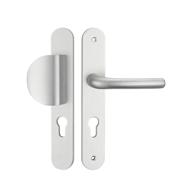 Zinc Alloy Bathroom Swing Door Lock Handle Double Sided Long Plate Type Door Handle