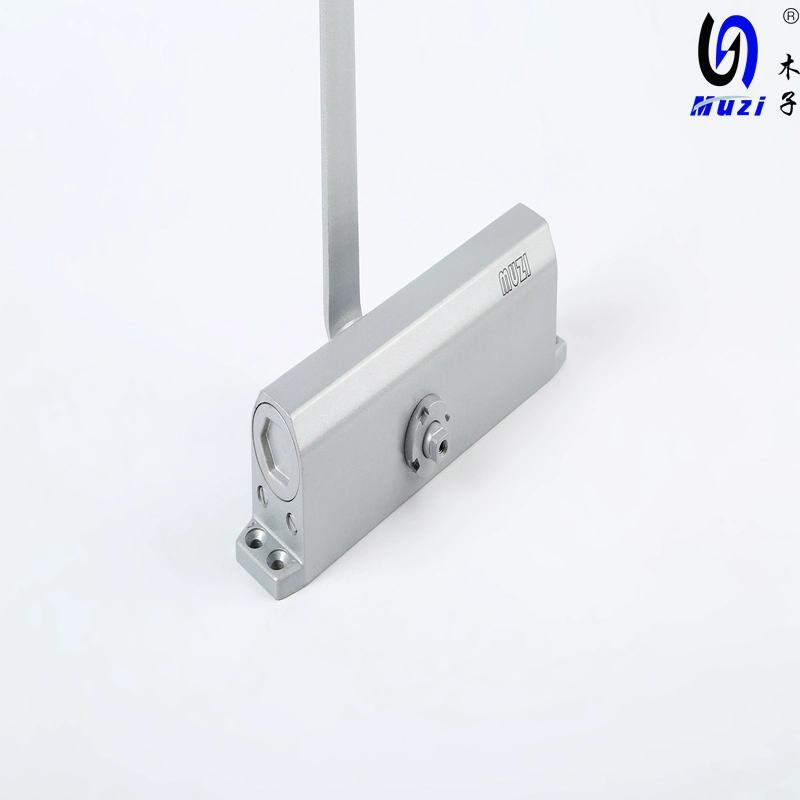 Heavy Duty Silent Door Closer for 120-150 Kg Door