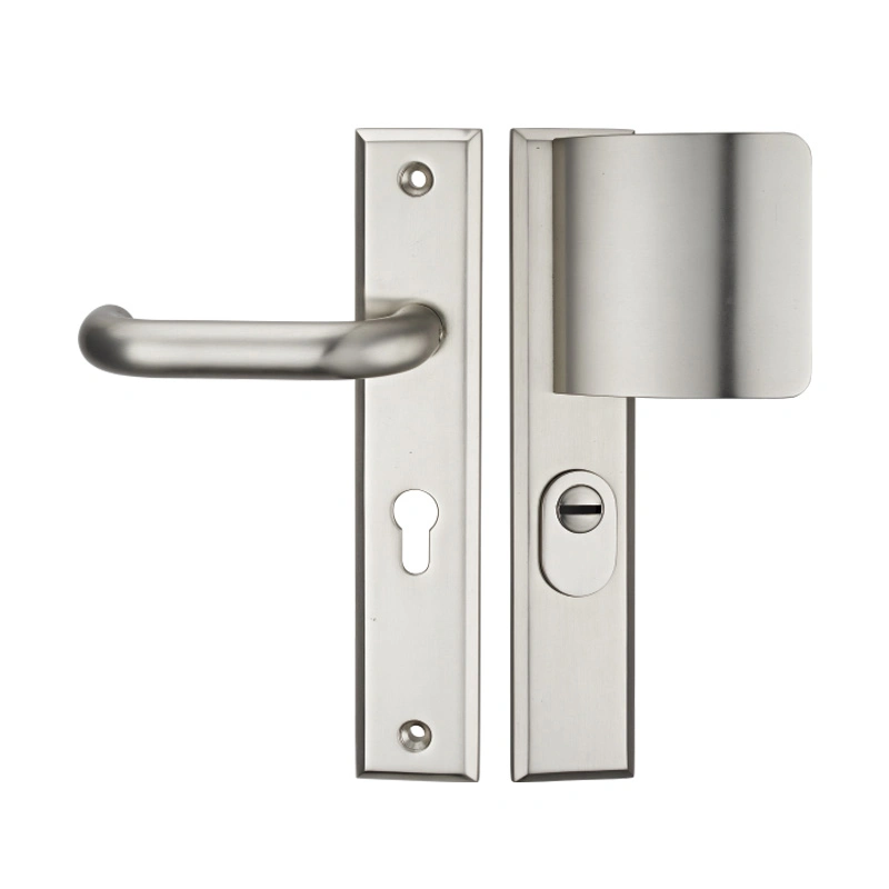 Zinc Alloy Bathroom Swing Door Lock Handle Double Sided Long Plate Type Door Handle