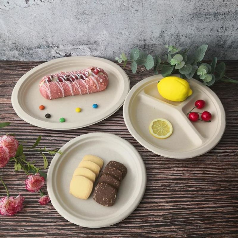 Disposable Eco-Friendly Biodegradable Compostable Bagasse Paper Plates with 3 Compartment