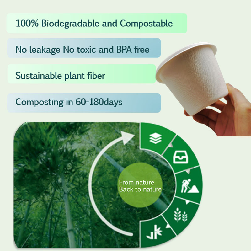 Supplying Online Sale Eco Friendly Paper Plates