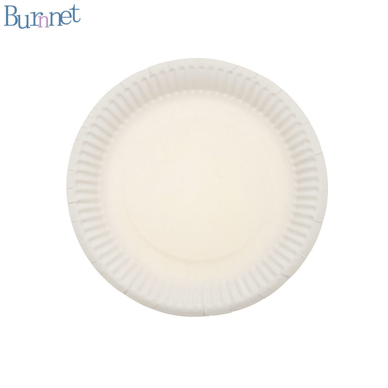 Eco-Friendly Unbleached Compostable Sugarcane Paper Plates