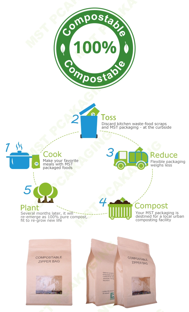 Paper Bag Custom Logo Print Biodegradable Compostable PLA Corn Starch Bag