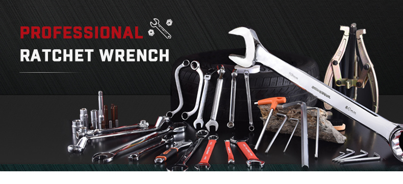 Hot Sales 5PCS Flexible Head Ratchet Wrench Set Good Quality Ratchet Spanner Set