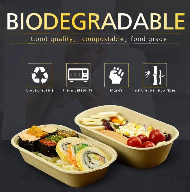 6 Inch Eco Friendly Biodegradable Clamshell Box Set for Parties, Dessert, Cake etc in Sugarcane Bagasse