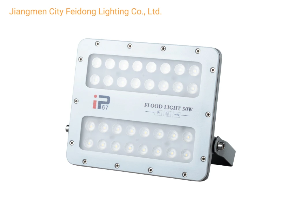 Adjustable Ground Mounted Ultra Great Quality Customized Lens Export Ce ENEC LED Flood Lighting