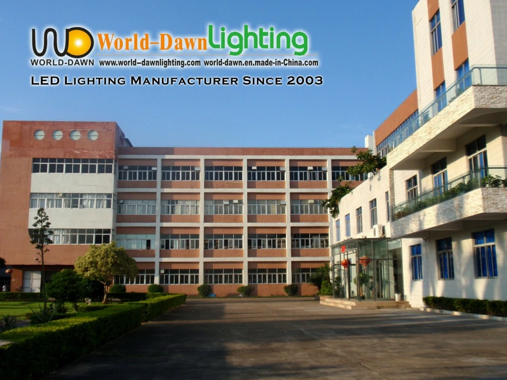 Architectural Lighting Outdoor LED Wall Washer Flood Light (CY-A025)