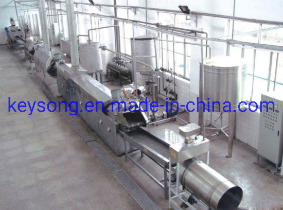 Various Potato Chips Making Machine, Continous Mesh Belt Dryer