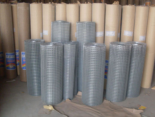 1X1 Galvanized Welded Wire Mesh From China