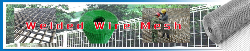 Hot Dipped Galvanized Welded Wire Mesh Sheet Panel From China