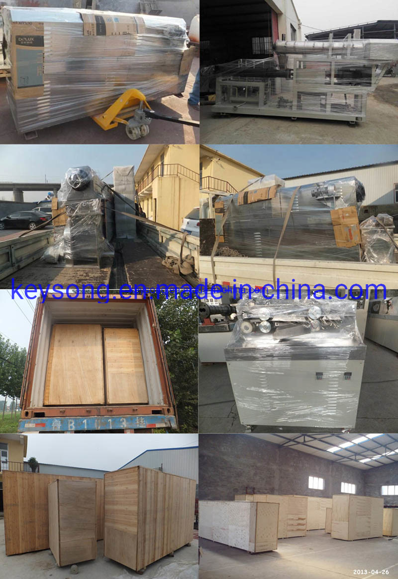 Various Potato Chips Making Machine, Continous Mesh Belt Dryer