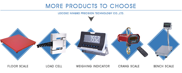 Hanging Scale Steel Embody Weighing Scale Load Cell