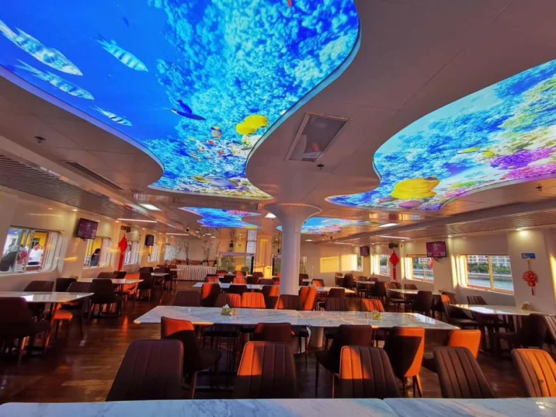 Printable PVC Translucent White Stretch Ceiling Film