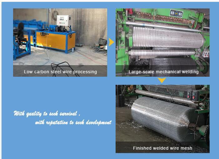 Hot Sale Galvanized Welded Wire Mesh Panel/Welded Steel Wire Mesh