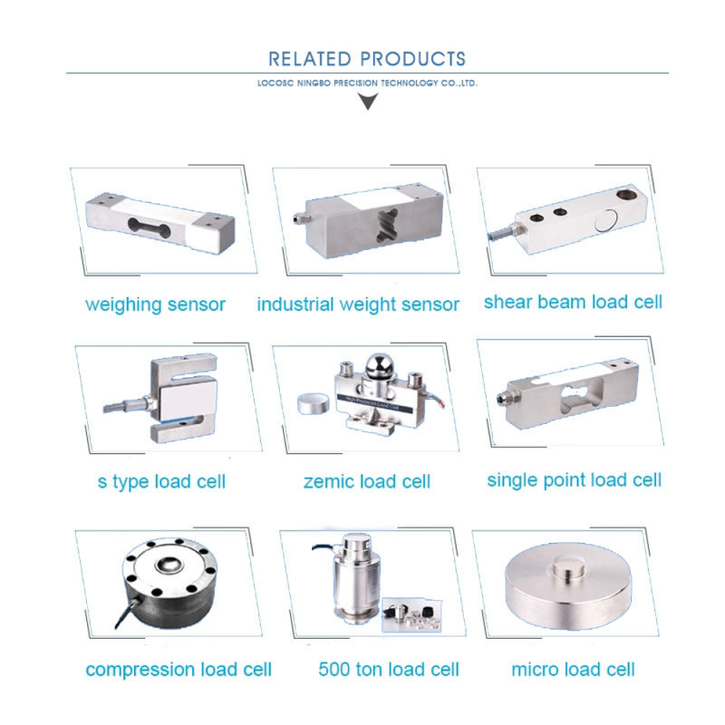 Hanging Scale Steel Embody Weighing Scale Load Cell