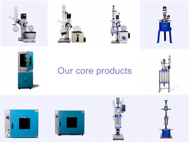 Vacuum Mini Freeze Dryer for Lab Lyophilizer