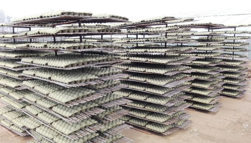 Paper Pulp Making Machine/Egg Tray Machine