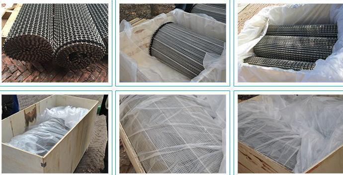 SUS304 Flat Wire Metal Mesh Belt