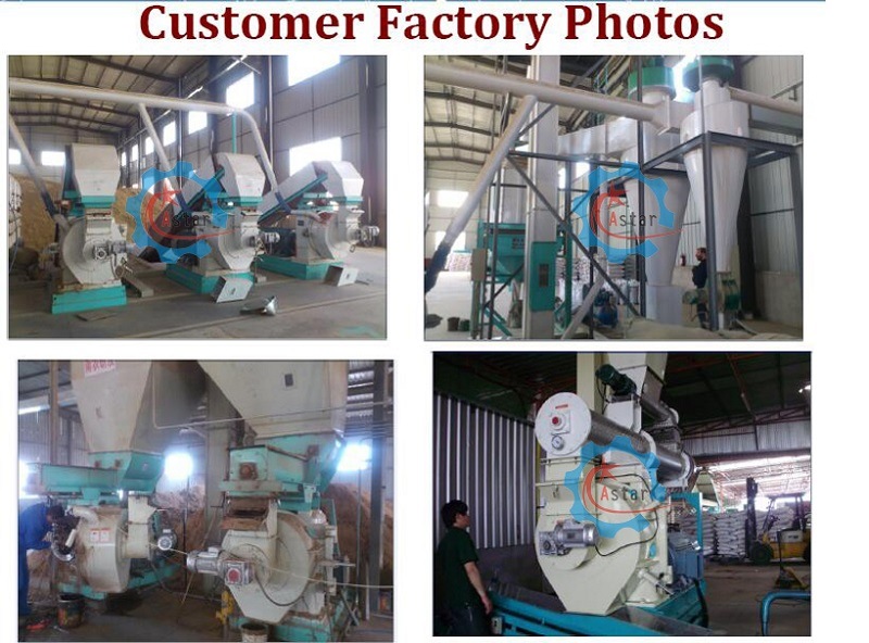 Ce Approved Paper Wood Pellet Making Machine