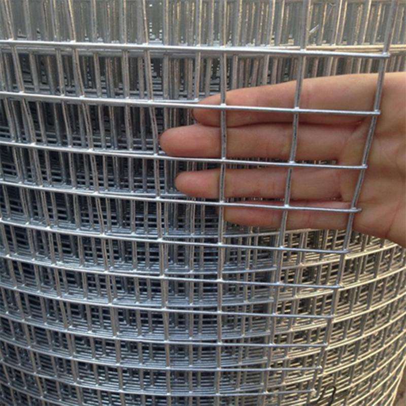 1X1 Galvanized Welded Wire Mesh From China