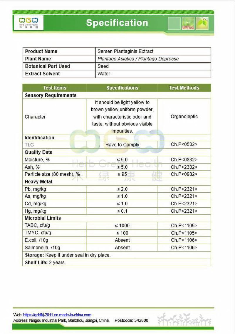 Natural Plant Extract Semen Plantaginis Powder for Diuretic, Expectorant and Hypotensor Herb Herbal