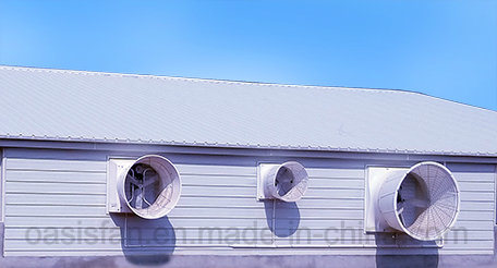 Pig Barn Ventilation Fan/ Pig Barn Climate System