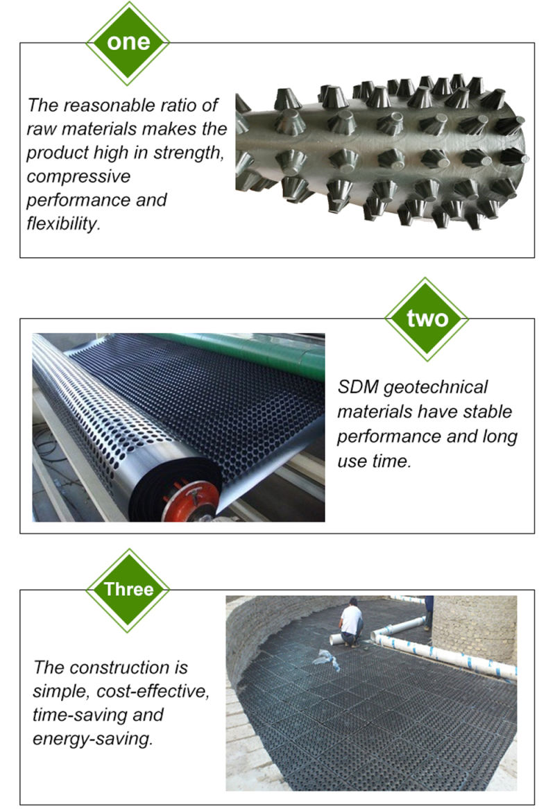 Drainage Board for Roof Garden HDPE Drainage Board