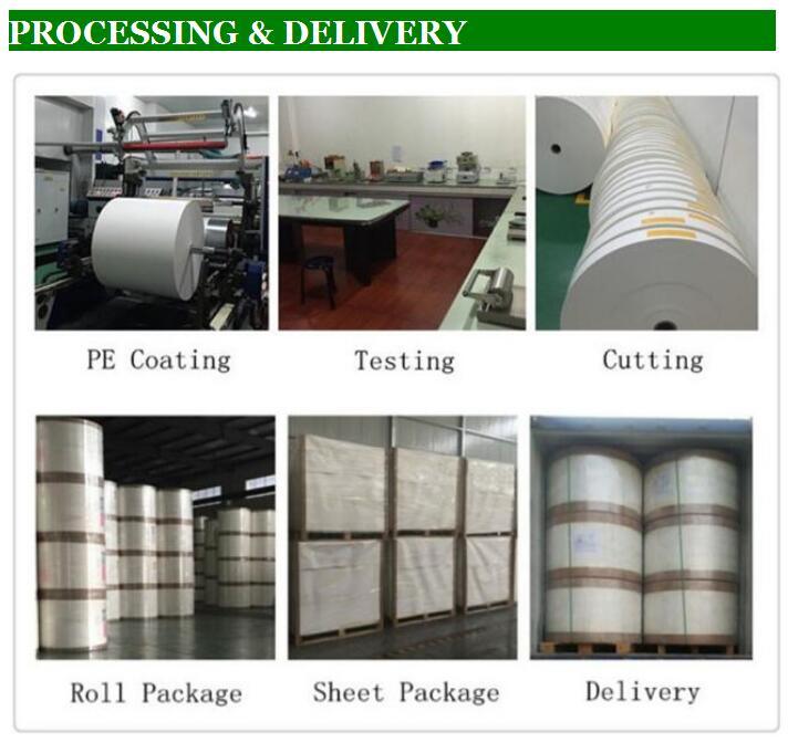 Hot Sale Paper Cup Paper in Roll with High Quality Paper for Cup